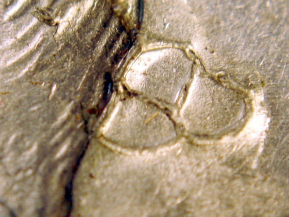 1971-Kenndy-Half-Dollar---Obverse-Anomaly?